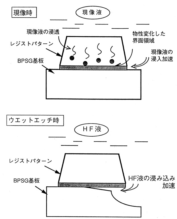 溶液中での接着不良モデル