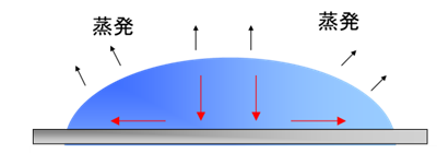 乾燥時の液滴内の対流
