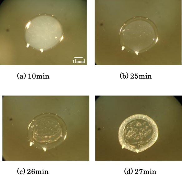 ウォータマークの形成
